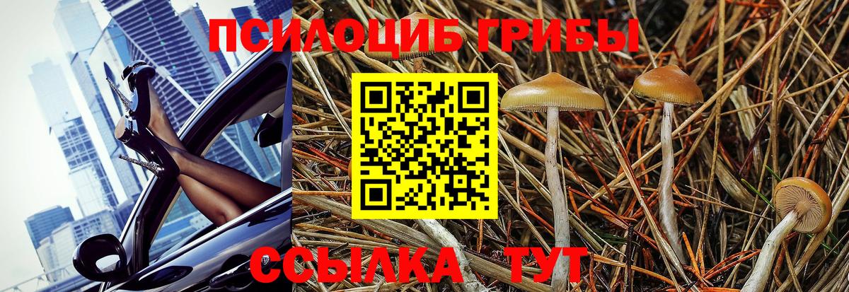 Псилоцибиновые грибы Magic Shrooms  Вход с VPN  Белово  Галлюциногенные грибы Magic Shrooms 